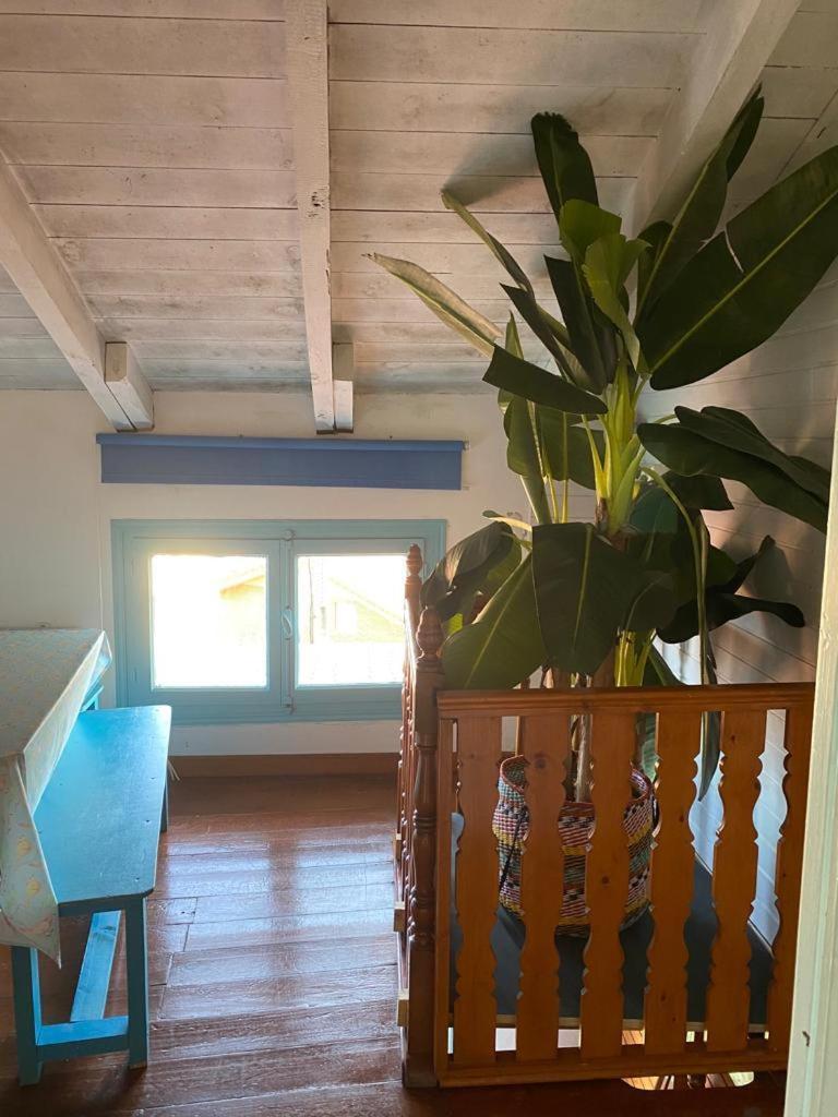 Madera Y Mar Apartment Isla Exterior photo